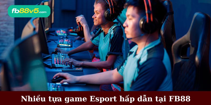 FB88 Esport – Cá Cược Thể Thao Điện Tử Uy Tín 2026